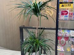 -牙博士口腔品牌连锁(昆山城区店)
