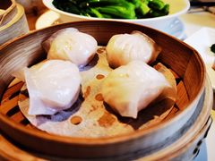 原汁鲜虾饺-利苑酒家(华熙国际店)