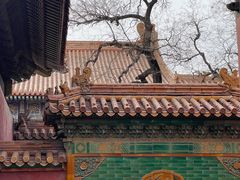 -故宫博物院(故宫)