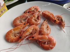 白灼海中虾-旺富东海大酒楼(海鲜街店)