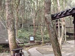 -富春桃源风景区