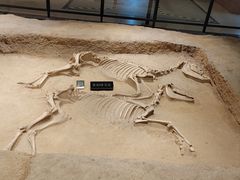 -洛阳周王城天子驾六博物馆