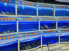 -黄记大闸蟹专卖店·活蟹·醉蟹