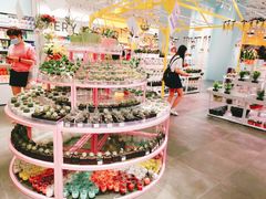 -KKV(深圳宏发大仟里店)