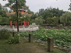 -西南政法大学(渝北校区)