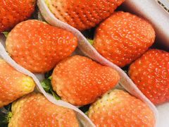 -e佳鲜果(四方坪店)