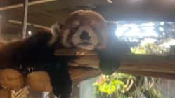 -Zoolung Zoolung动物主题公园(海信广场店)