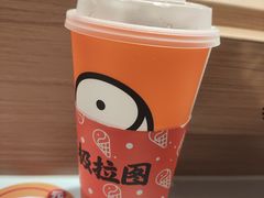 -极拉图·现制冰淇淋(梅溪湖新天地步步高店)