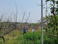 -亲兄弟真人CS团建拓展基地