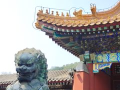 -颐和园