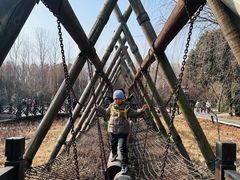 -溱湖国家湿地公园