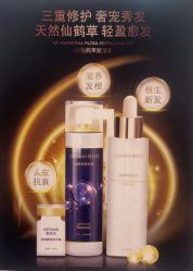 -希梵尔头皮抗衰·科技养发