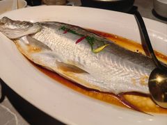 -醉庐·新上海菜(南京西路店)