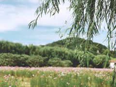 -长圻码头