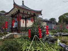-清湖文化公园