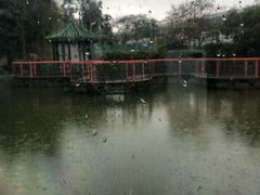 -纪念孙中山市政公园