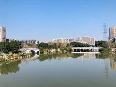 -光明港公园