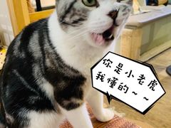-小时光咖啡馆(开森度假森林店)