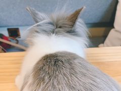 -小意思咖啡店(草桥店)