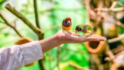 -Zoolung Zoolung动物主题公园(海信广场店)