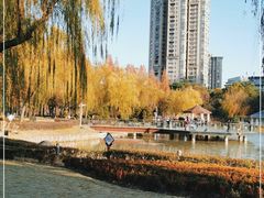 -新虹桥中心花园