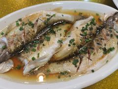 -呼吸森林·生态农庄农家乐私房菜