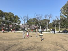 -新江湾城公园