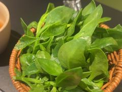 -季季山•云南野生菌火锅(上海首店)