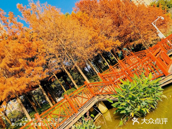 琴亭湖公园图片