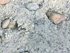 -白水寺森林公园
