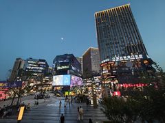 -龙湖重庆时代天街