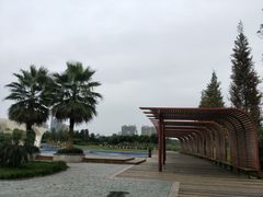 -眉山湿地公园(东坡区)