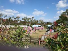 -上海长兴岛郊野公园