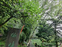 -常德桃花源景区