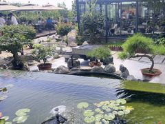 -蘇河湾·新鲁菜·泰山宴(泰山店)