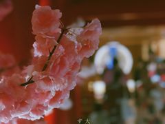 -蓝鲸湾汤泉(包河店)