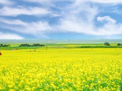 -扁都口生态休闲旅游区