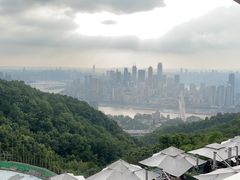 -南山植物园