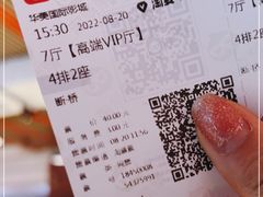 -华美国际影城(旧宫永辉店)