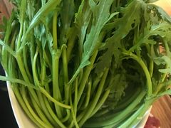 蓬蒿菜-牛很鲜潮汕牛肉火锅(乐清店)