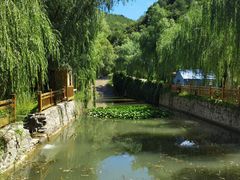 -仙居谷风景区