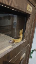 -Zoolung Zoolung动物主题公园(海信广场店)