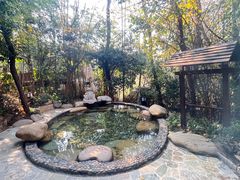 -天目湖涵田半山温泉