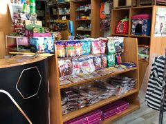 -爱侣宠医·鹦鹉专科·小型哺乳类·异宠专科(灵石路店)