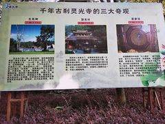 -灵光寺