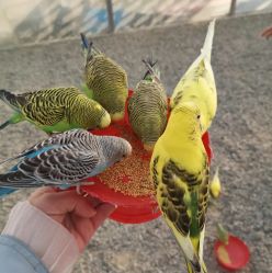 -萌宠亲子动物乐园(槐房万达店)