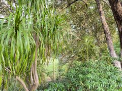 -广西壮族自治区药用植物园
