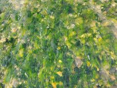 -百里峡七彩艺术小镇