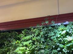 -巴奴毛肚火锅(广益哥伦布店)