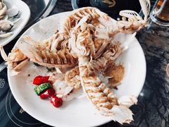 皮皮虾-蚝专家